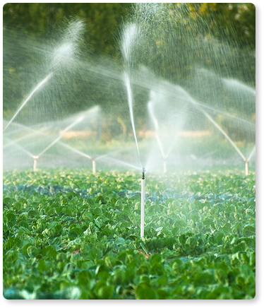 Commercial Irrigation System Installation in Central IN and OH