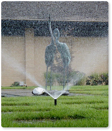 irrigation